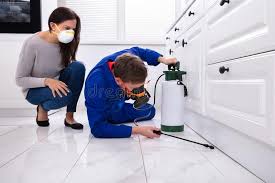 Trusted Beloit, OH Pest control Experts